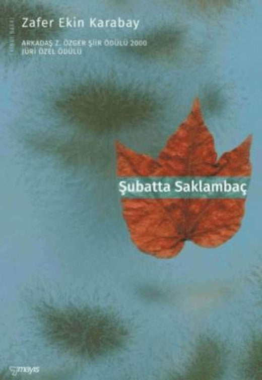 Şubatta Saklambaç | Mayıs Yayınları (Ciltsiz)