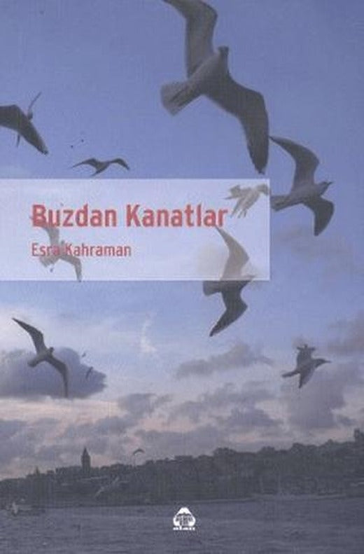 Buzdan Kanatlar | Alan Yayıncılık (Ciltsiz)