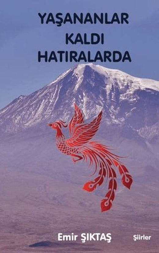 Yaşananlar Kaldı Hatıralarda | Northern Lights Yayınları (Ciltsiz)