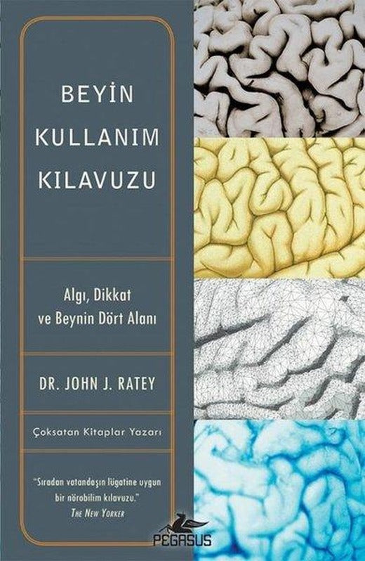 Beyin Kullanım Kılavuzu | Pegasus (İnce Kapak)