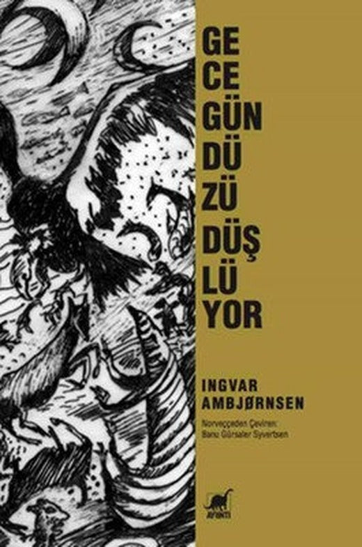 Gece Gündüzü Düşlüyor | Ayrıntı Yayınları