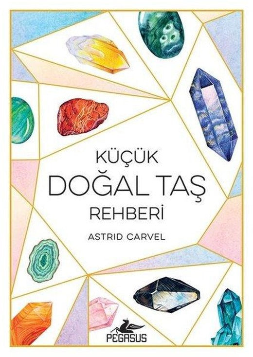Küçük Doğal Taş Rehberi | Pegasus (İnce Kapak)