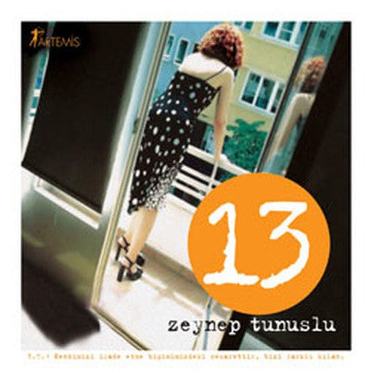 13 | Artemis Yayınları
