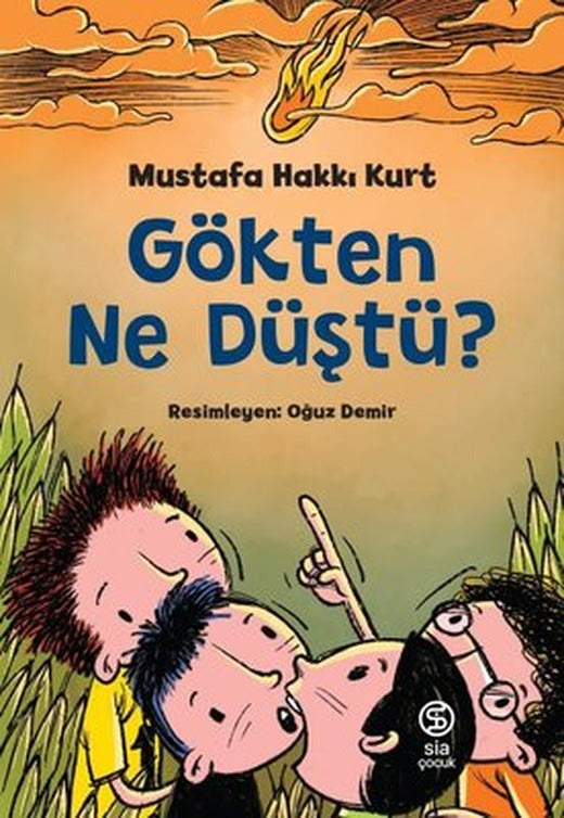 Gökten Ne Düştü? | Sia