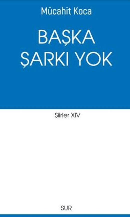 Başka Şarkı Yok