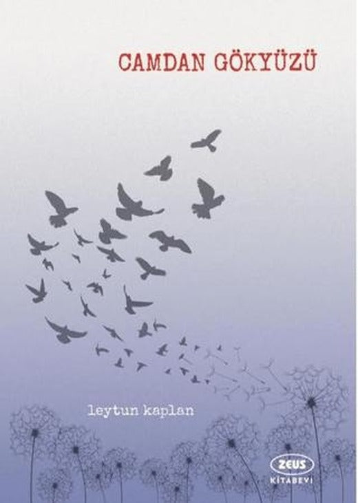 Camdan Gökyüzü