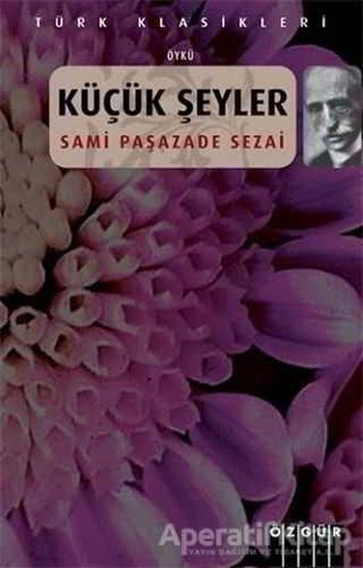 Küçük Şeyler - Sami Paşazade Sezai - Özgür Yayınları