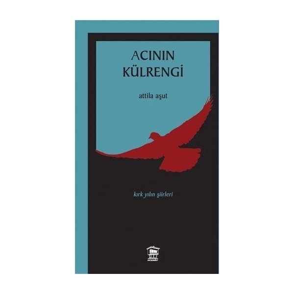 Acının Külrengi | Serander Yayınları (Ciltsiz)