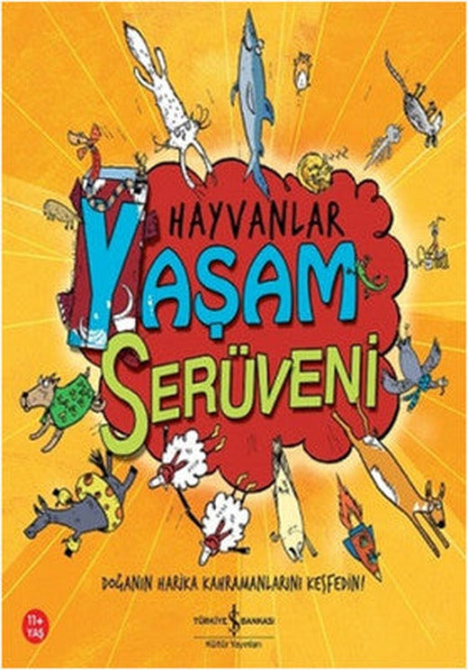 Hayvanlar - Yaşam Serüveni | İş Bankası Kültür Yayınları