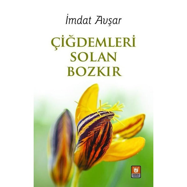 Çiğdemleri Solan Bozkır