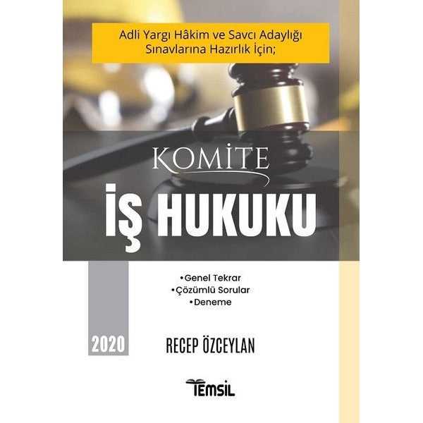 2020 Komite İş Hukuku | Temsil Kitap (İnce Kapak)