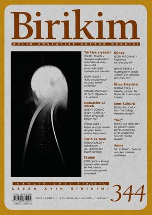 Birikim Aylık Sosyalist Kültür Dergisi Sayı: 344 Aralık 2017 | Birikim Yayınları (Ciltsiz)