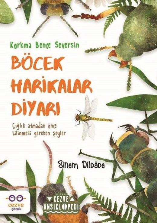 Böcek Harikalar Diyarı | Cezve Çocuk (İnce Kapak)