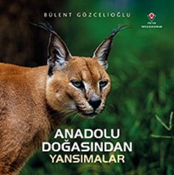 Anadolu Doğasından Yansımalar | TÜBİTAK Yayınları (Ciltsiz)
