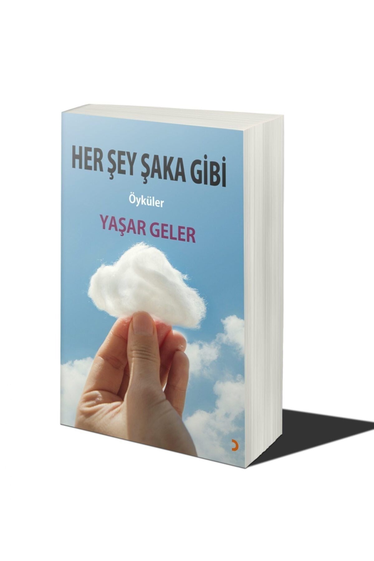 Her Şey Şaka Gibi
