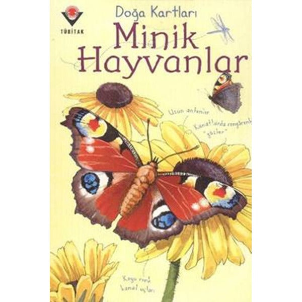 Doğa Kartları - Minik Hayvanlar | Tübitak Yayınları