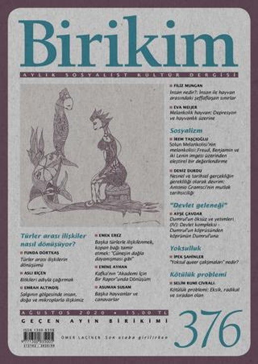 Birikim Aylık Sosyalist Kültür Dergisi Sayı: 376 Ağustos 2020 | Birikim Yayınları (Ciltsiz)