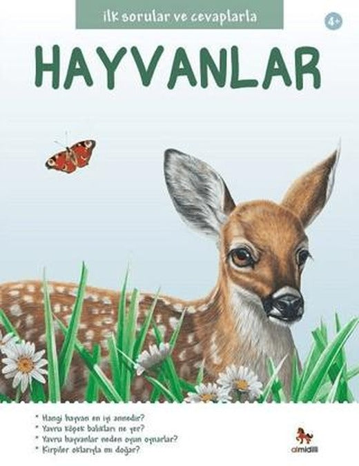 İlk Sorular ve Cevaplarla Hayvanlar | Almidilli (Ciltsiz)