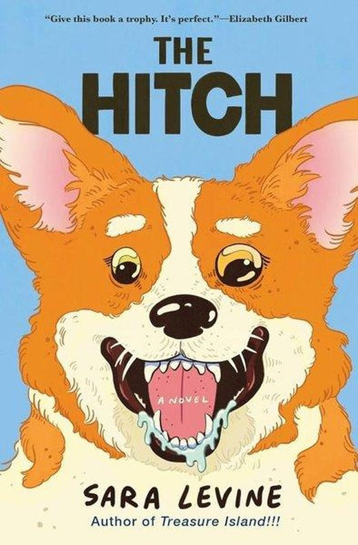 The Hitch | Europa Editions (İnce Kapak)