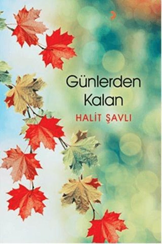 Günlerden Kalan