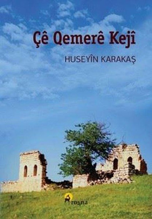 Çe Qemere Keji | Roşna Yayınları (İnce Kapak)