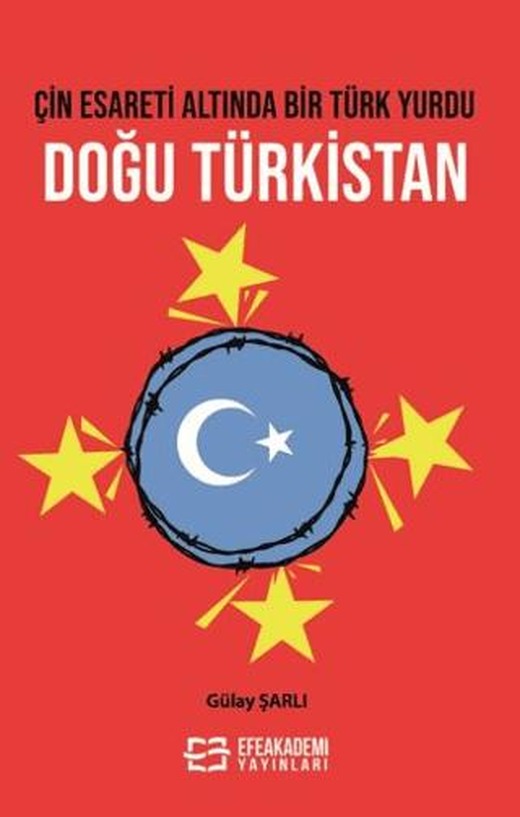 Çin Esareti Altında Bir Türk Yurdu: Doğu Türkistan