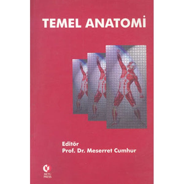 Temel Anatomi