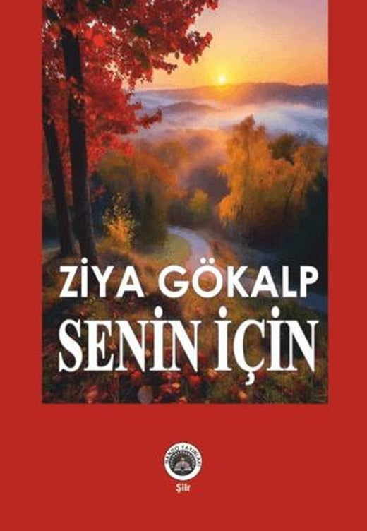 Senin İçin | Nando Yayınları (Ciltsiz)