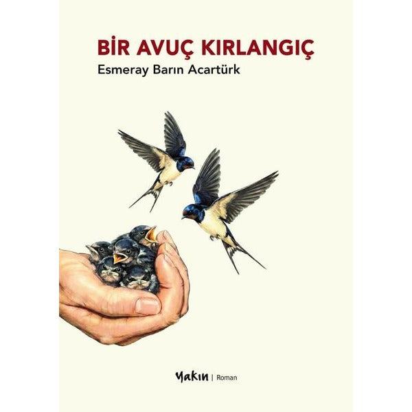 Bir Avuç Kırlangıç