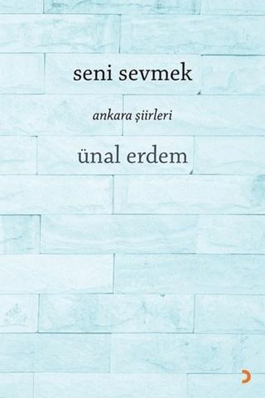 Seni Sevmek
