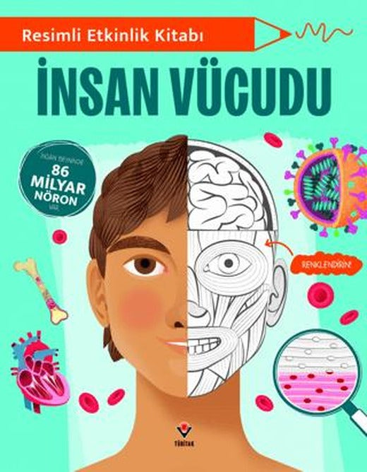 Resimli Etkinlik Kitabı - İnsan Vücudu | TÜBİTAK Yayınları (Ciltsiz)
