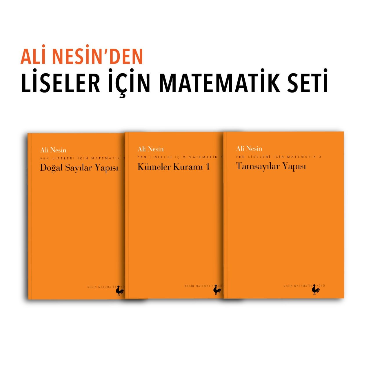 Ali Nesin’den Fen Liseleri İçin Matematik Seti | Nesin Yayınevi (Ciltsiz)