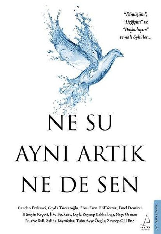 Ne Su Aynı Artık Ne de Sen | Destek Yayınları (İnce Kapak)