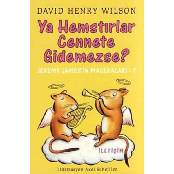 Ya Hemstırlar Cennete Gidemezse? | İletişim Yayınları