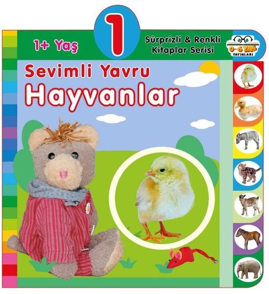 1+ Yaş Sevimli Yavru Hayvanlar