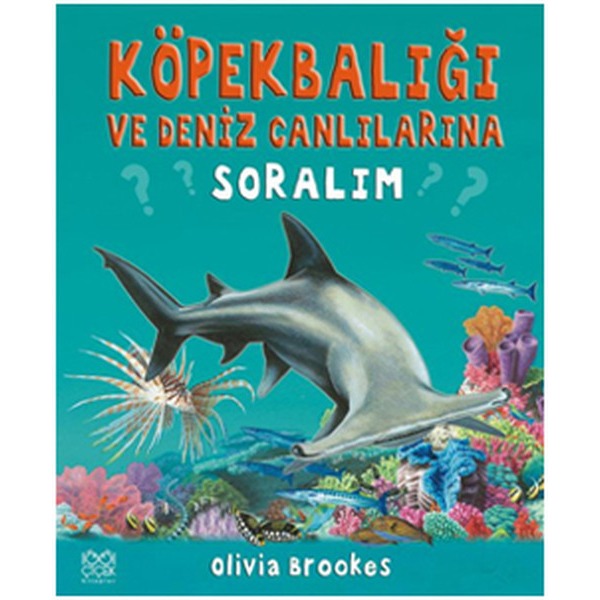 Köpek Balığı ve Deniz Canlılarına Soralım