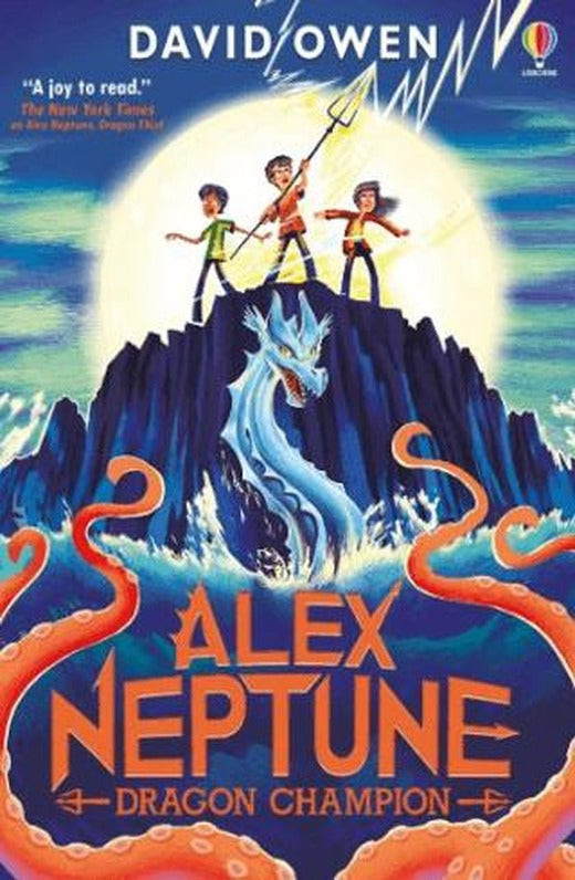 Alex Neptune, Dragon Champion | Usborne (Ciltsiz)