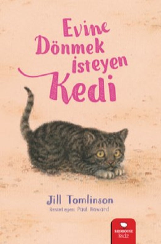 Evine Dönmek İsteyen Kedi | Redhouse Kidz Yayınları