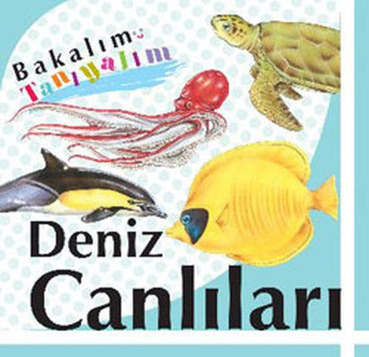 Deniz Canlıları - Bakalım Tanıyalım | Final Kültür Sanat Yayınları
