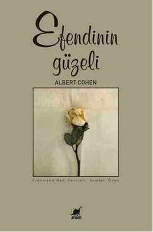 Efendinin Güzeli | Ayrıntı Yayınları