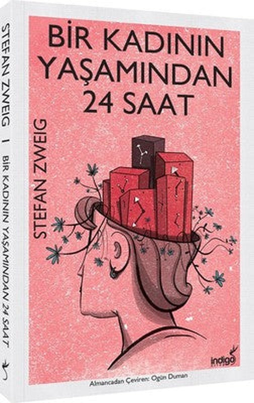 Bir Kadının Yaşamından 24 Saat | İndigo Kitap