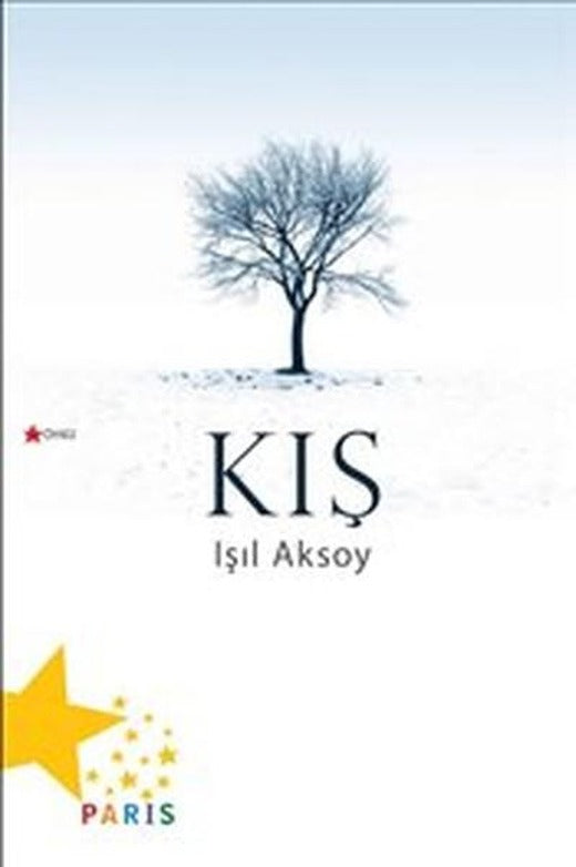 Kış