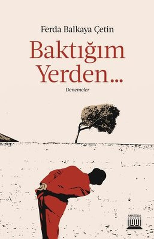 Baktığım Yerden Denemeler | Anatolia Kültür (İnce Kapak)