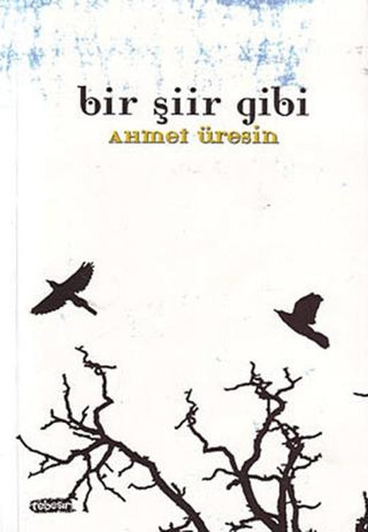 Bir Şiir Gibi | Tebeşir Yayınları (Ciltsiz)