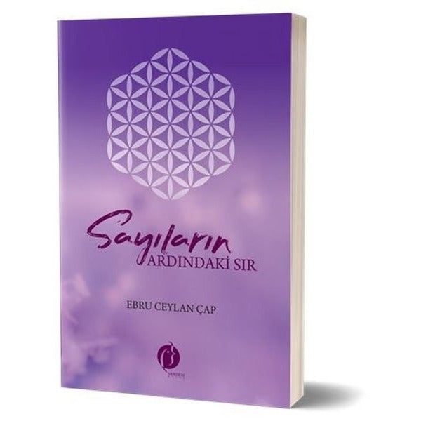 Sayıların Ardındaki Sır | Herdem Kitap (İnce Kapak)
