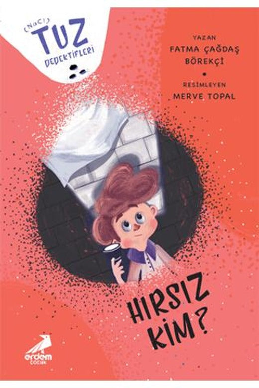 Hırsız Kim? - Tuz Dedektifleri