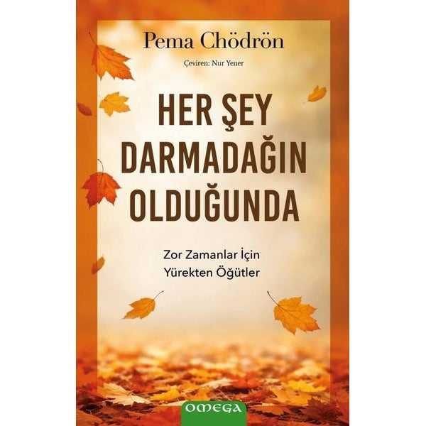 Her Şey Darmadağın Olduğunda | Omega (Ciltsiz)