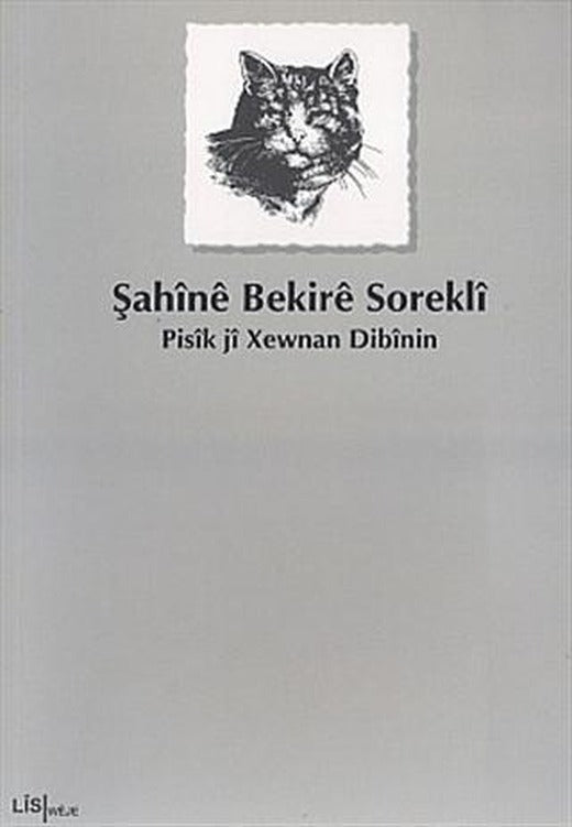 Pisik ji Xewnan Dibinin