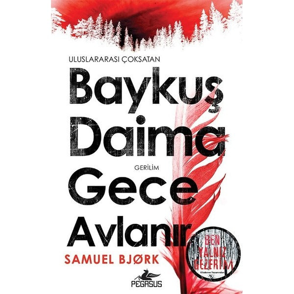 Baykuş Daima Gece Avlanır | Pegasus Yayınları (Ciltsiz)