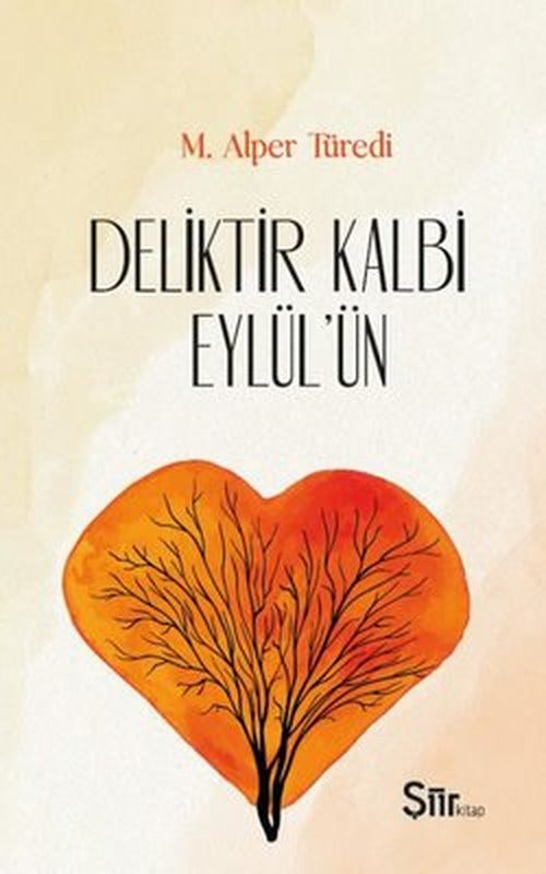 Deliktir Kalbi Eylül'ün | Şiir Kitap